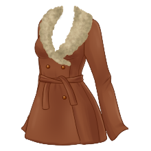a winter coat 